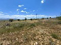 Ruina en Pinoso con suficiente terreno para construir una nueva vivienda in Real Estate Alicante