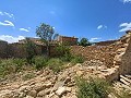 Ruina en Pinoso con suficiente terreno para construir una nueva vivienda in Real Estate Alicante