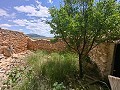 Ruina en Pinoso con suficiente terreno para construir una nueva vivienda in Real Estate Alicante
