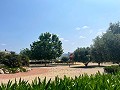 Fabulous Apartment with Great Views in Real Estate Alicante