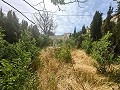 Wunderschönes Höhlenhaus mit Grundstück nur 10 Minuten von Pinoso entfernt in Real Estate Alicante
