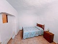 Wunderschönes Höhlenhaus mit Grundstück nur 10 Minuten von Pinoso entfernt in Real Estate Alicante