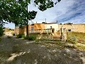 Wunderschönes Höhlenhaus mit Grundstück nur 10 Minuten von Pinoso entfernt in Real Estate Alicante