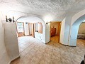 Wunderschönes Höhlenhaus mit Grundstück nur 10 Minuten von Pinoso entfernt in Real Estate Alicante