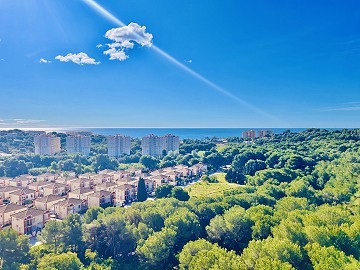 2 bedroom Apartment in Dehesa De Campoamor