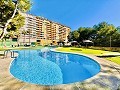 2 bedroom Apartment in Dehesa De Campoamor in Real Estate Alicante