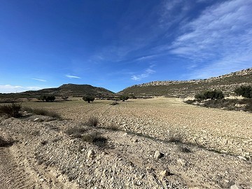 Grand terrain à bâtir dans un endroit magnifique