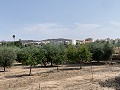Villa with Private Pool, 3 Beds, seperate garage and Olive Trees in Real Estate Alicante