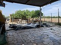 Villa with Private Pool, 3 Beds, seperate garage and Olive Trees in Real Estate Alicante