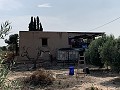 Villa with Private Pool, 3 Beds, seperate garage and Olive Trees in Real Estate Alicante