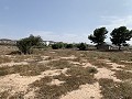 Villa with Private Pool, 3 Beds, seperate garage and Olive Trees in Real Estate Alicante