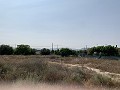 Villa with Private Pool, 3 Beds, seperate garage and Olive Trees in Real Estate Alicante