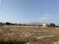 Villa with Private Pool, 3 Beds, seperate garage and Olive Trees in Real Estate Alicante