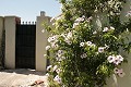 Lovely 3 Bed 2 Bath Villa in Abanilla. in Real Estate Alicante