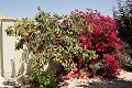Lovely 3 Bed 2 Bath Villa in Abanilla. in Real Estate Alicante