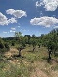 Schöne, netzunabhängige Finca mit 4 Schlafzimmern und 1 Bad in Almansa. in Real Estate Alicante