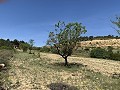 Schöne, netzunabhängige Finca mit 4 Schlafzimmern und 1 Bad in Almansa. in Real Estate Alicante