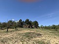 Schöne, netzunabhängige Finca mit 4 Schlafzimmern und 1 Bad in Almansa. in Real Estate Alicante