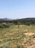 Lovely 4 Bed 1 Bath off Grid Finca in Almansa. in Real Estate Alicante