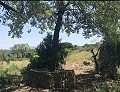 Lovely 4 Bed 1 Bath off Grid Finca in Almansa. in Real Estate Alicante