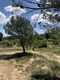 Schöne, netzunabhängige Finca mit 4 Schlafzimmern und 1 Bad in Almansa. in Real Estate Alicante