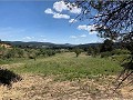 Lovely 4 Bed 1 Bath off Grid Finca in Almansa. in Real Estate Alicante