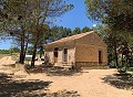 Lovely 4 Bed 1 Bath off Grid Finca in Almansa. in Real Estate Alicante