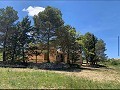 Lovely 4 Bed 1 Bath off Grid Finca in Almansa. in Real Estate Alicante