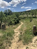 Schöne, netzunabhängige Finca mit 4 Schlafzimmern und 1 Bad in Almansa. in Real Estate Alicante
