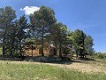 Schöne, netzunabhängige Finca mit 4 Schlafzimmern und 1 Bad in Almansa. in Real Estate Alicante