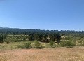 Lovely 4 Bed 1 Bath off Grid Finca in Almansa. in Real Estate Alicante