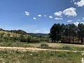 Schöne, netzunabhängige Finca mit 4 Schlafzimmern und 1 Bad in Almansa. in Real Estate Alicante