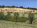 Schöne, netzunabhängige Finca mit 4 Schlafzimmern und 1 Bad in Almansa. in Real Estate Alicante