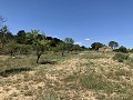 Schöne, netzunabhängige Finca mit 4 Schlafzimmern und 1 Bad in Almansa. in Real Estate Alicante