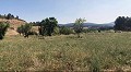 Lovely 4 Bed 1 Bath off Grid Finca in Almansa. in Real Estate Alicante
