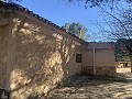 Schöne, netzunabhängige Finca mit 4 Schlafzimmern und 1 Bad in Almansa. in Real Estate Alicante
