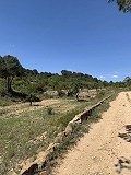 Schöne, netzunabhängige Finca mit 4 Schlafzimmern und 1 Bad in Almansa. in Real Estate Alicante