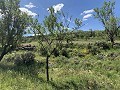 Schöne, netzunabhängige Finca mit 4 Schlafzimmern und 1 Bad in Almansa. in Real Estate Alicante
