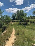 Lovely 4 Bed 1 Bath off Grid Finca in Almansa. in Real Estate Alicante