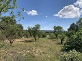 Schöne, netzunabhängige Finca mit 4 Schlafzimmern und 1 Bad in Almansa. in Real Estate Alicante