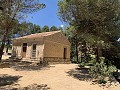 Schöne, netzunabhängige Finca mit 4 Schlafzimmern und 1 Bad in Almansa. in Real Estate Alicante