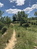 Schöne, netzunabhängige Finca mit 4 Schlafzimmern und 1 Bad in Almansa. in Real Estate Alicante