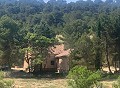 Lovely 4 Bed 1 Bath off Grid Finca in Almansa. in Real Estate Alicante