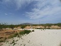 Prachtige villa met 6 slaapkamers en 5 badkamers in Pinoso. in Real Estate Alicante