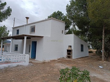 Prachtig landhuis met 5 slaapkamers, 2 badkamers en zwembad in Yecla.