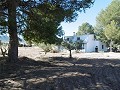 Prachtig landhuis met 5 slaapkamers, 2 badkamers en zwembad in Yecla. in Real Estate Alicante