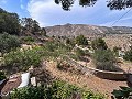 Wonderful Country House with Incredible Mountain Views in Petrer in Real Estate Alicante