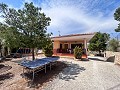 Wonderful Country House with Incredible Mountain Views in Petrer in Real Estate Alicante