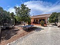 Wonderful Country House with Incredible Mountain Views in Petrer in Real Estate Alicante