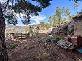 Wonderful Country House with Incredible Mountain Views in Petrer in Real Estate Alicante
